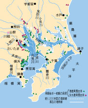 奥東京湾と貝塚の分布｜地図