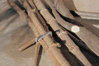 材料の木とハナカキの小刀｜写真