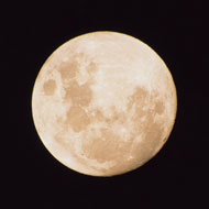 満月｜写真