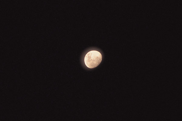 十三夜の月｜写真