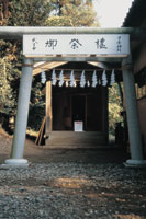 日吉神社｜写真2